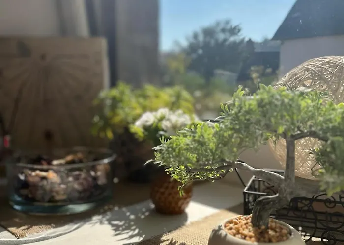 Hébergement de vacances Le De La Menuiserie *